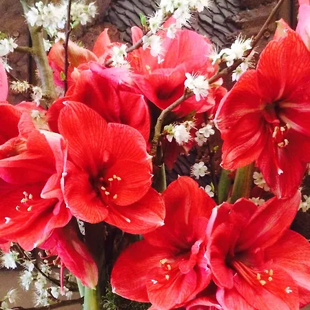 Saxe Eiffel Otel Paris