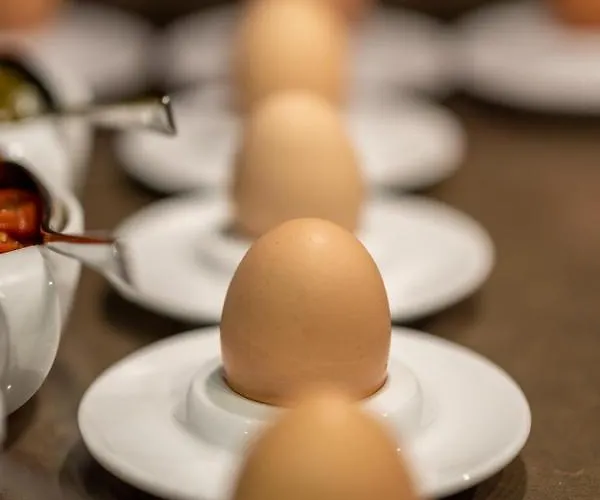 Hotel Saxe Eiffel Parijs