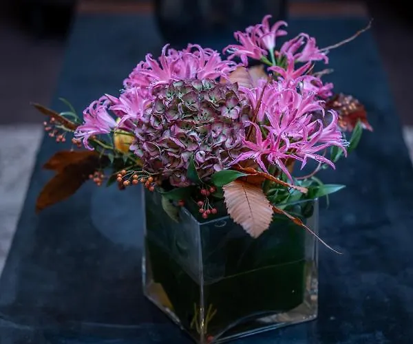 Hotel Saxe Eiffel Paříž